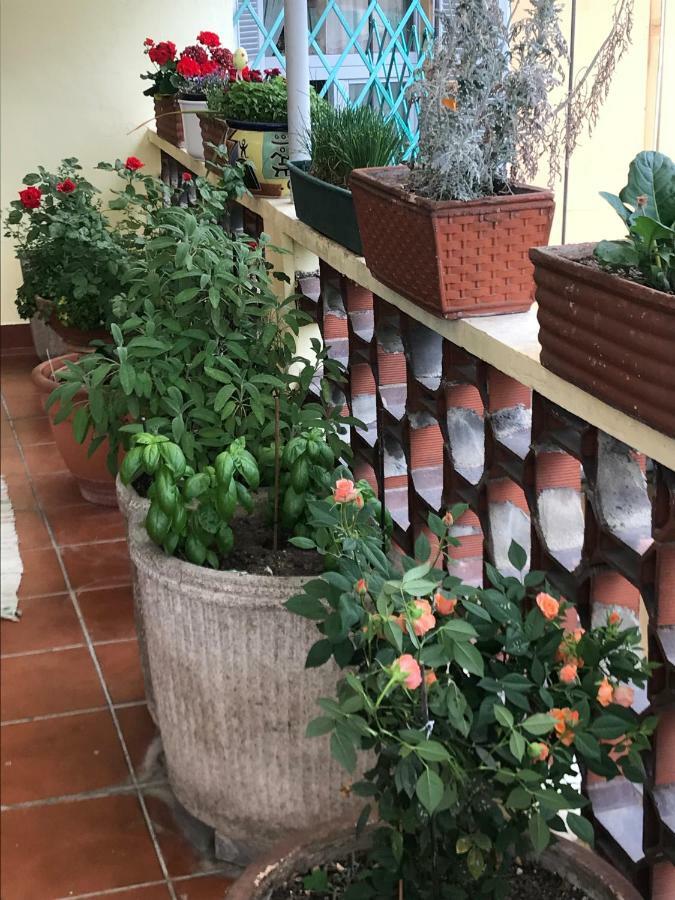 Casa Di Nonna Bed and Breakfast Vercelli Buitenkant foto